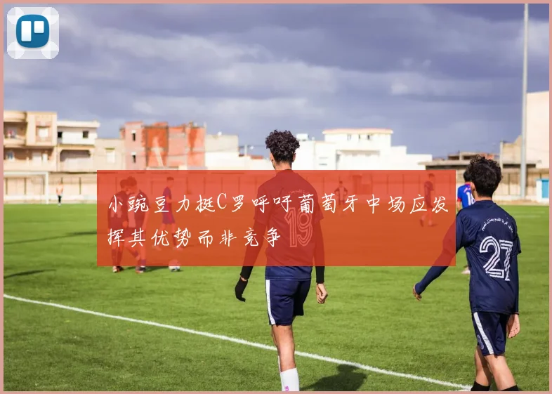 小豌豆力挺C罗呼吁葡萄牙中场应发挥其优势而非竞争